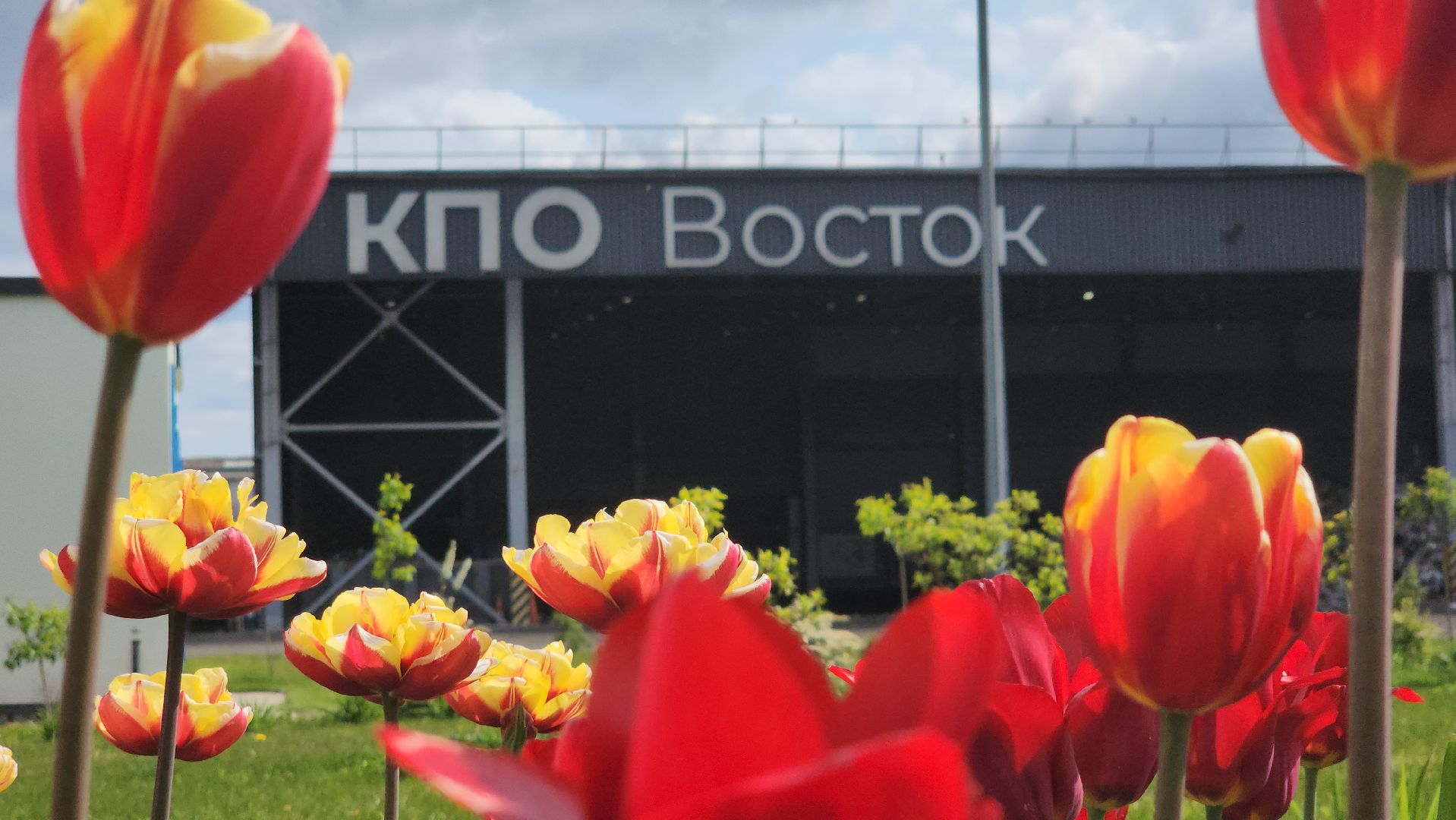 Отходы