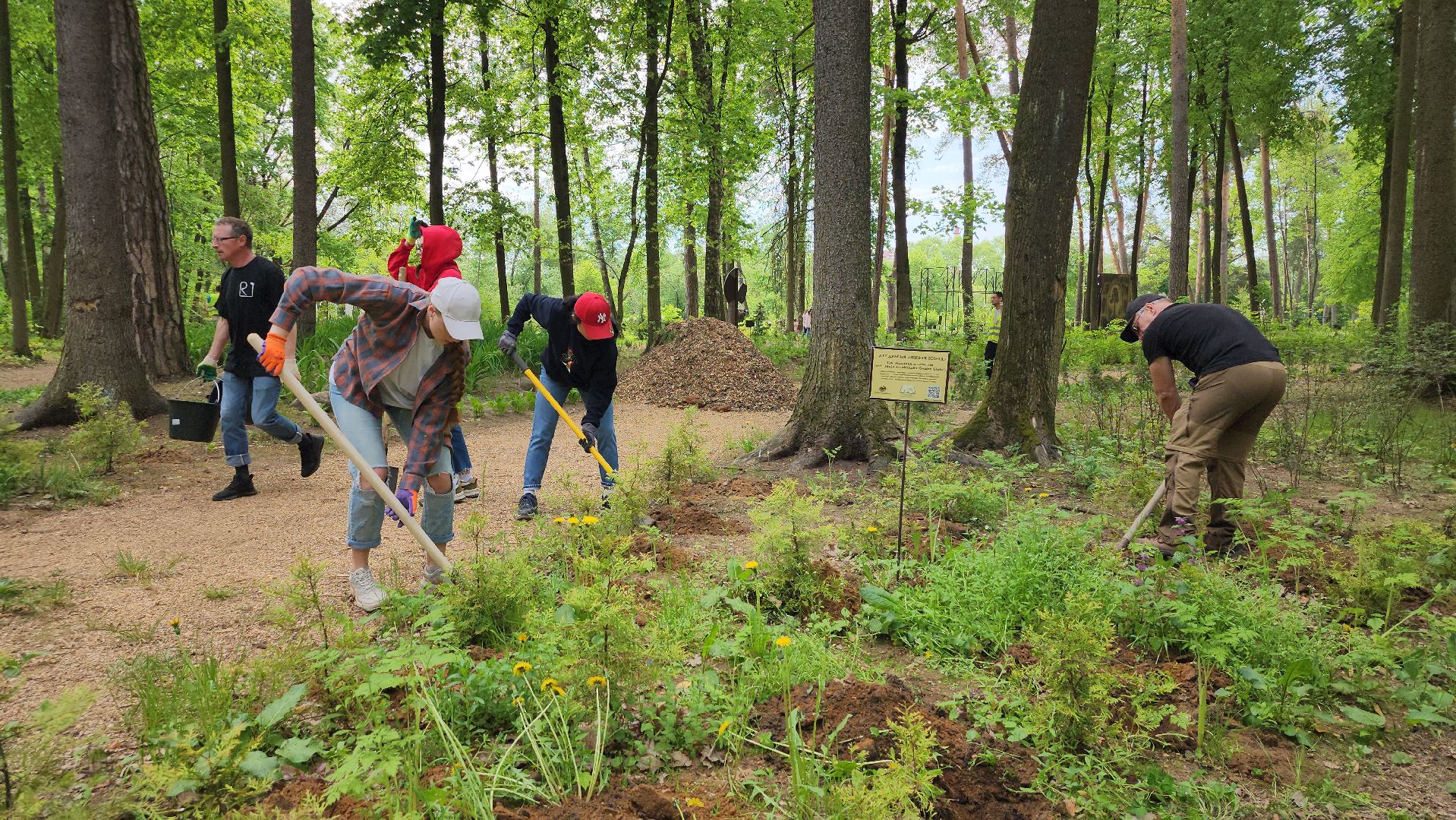 парк волхонка