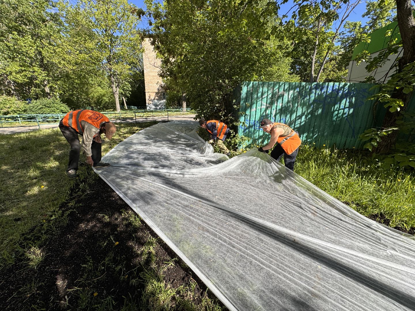 озеленение