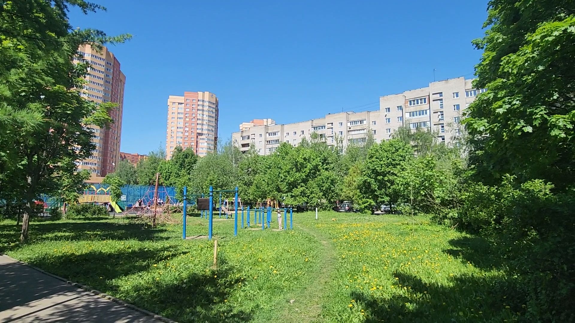 Лесной