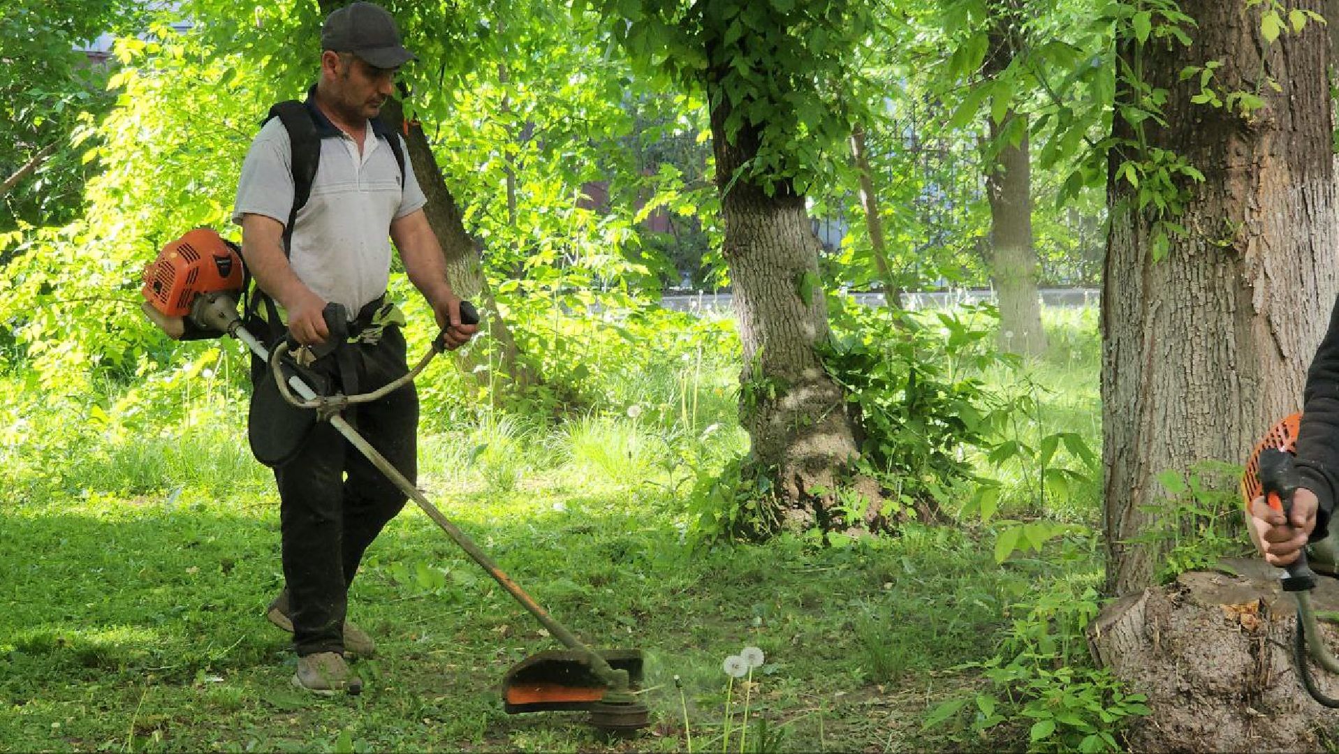 управляющая компания