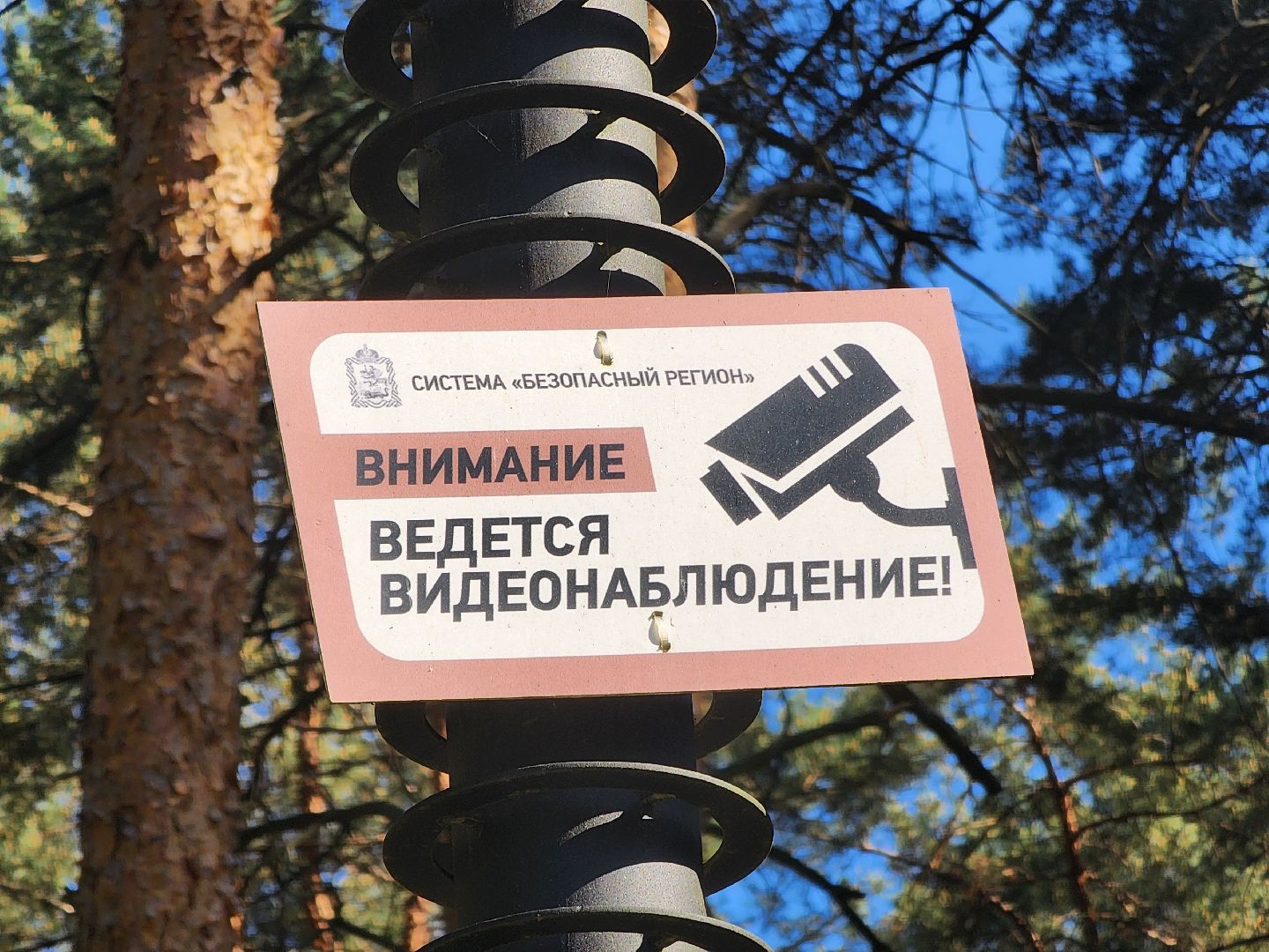 Камеры