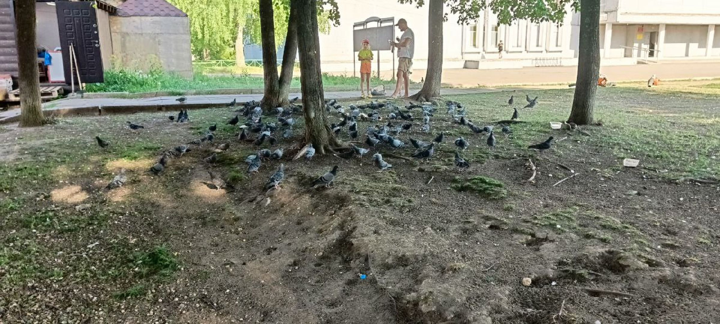 выездная