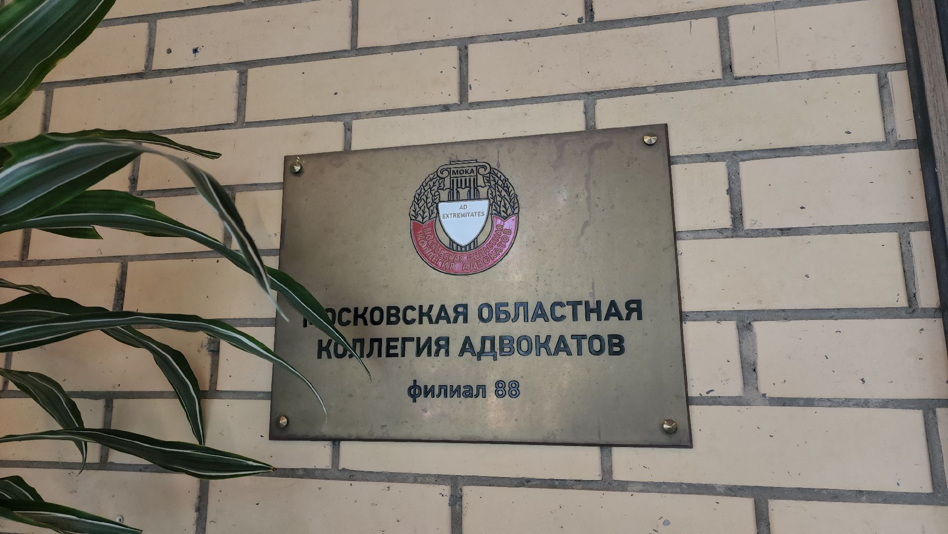 адвокат
