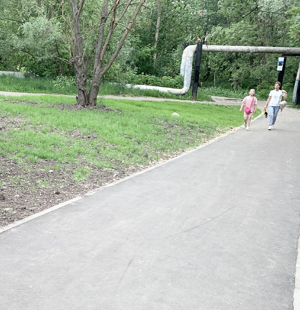 Дорожка