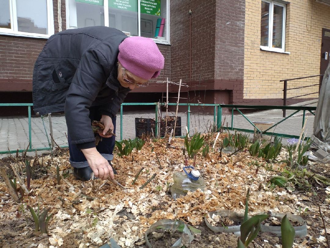 придомовая территория