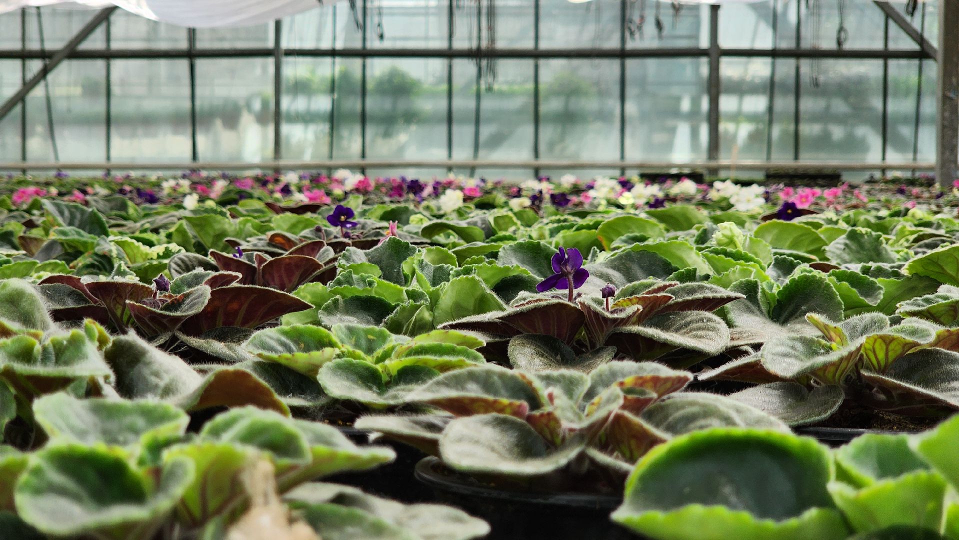 производство