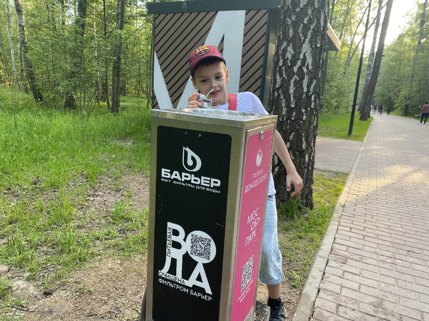 экологи