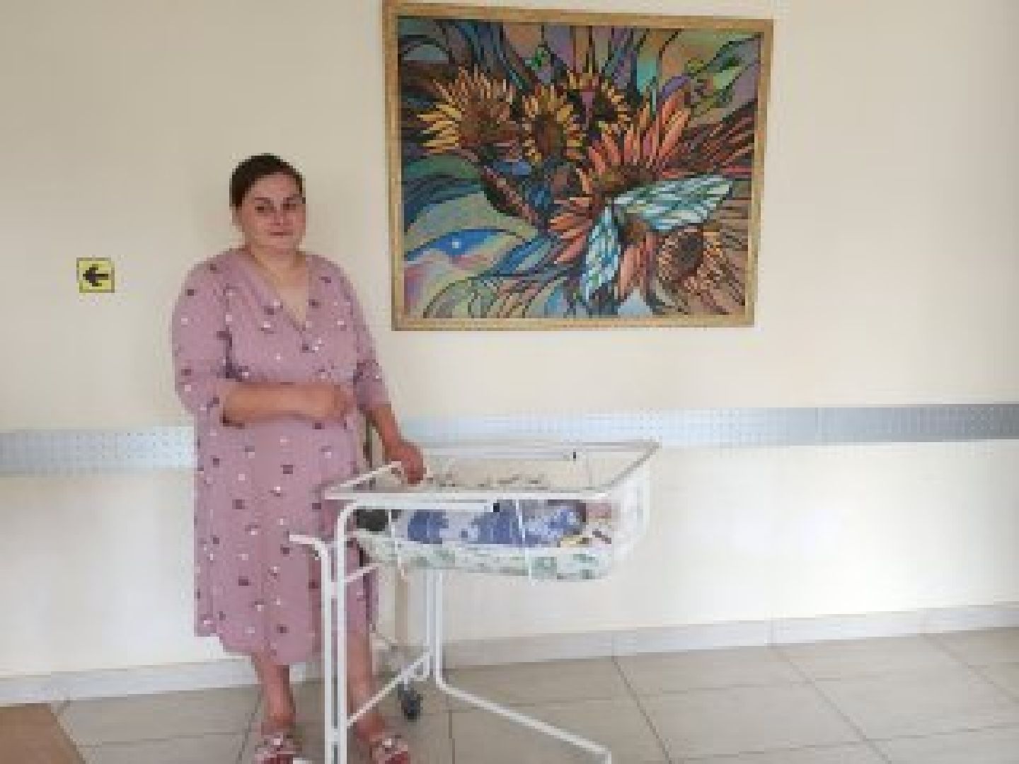 видновский перинатальный центр