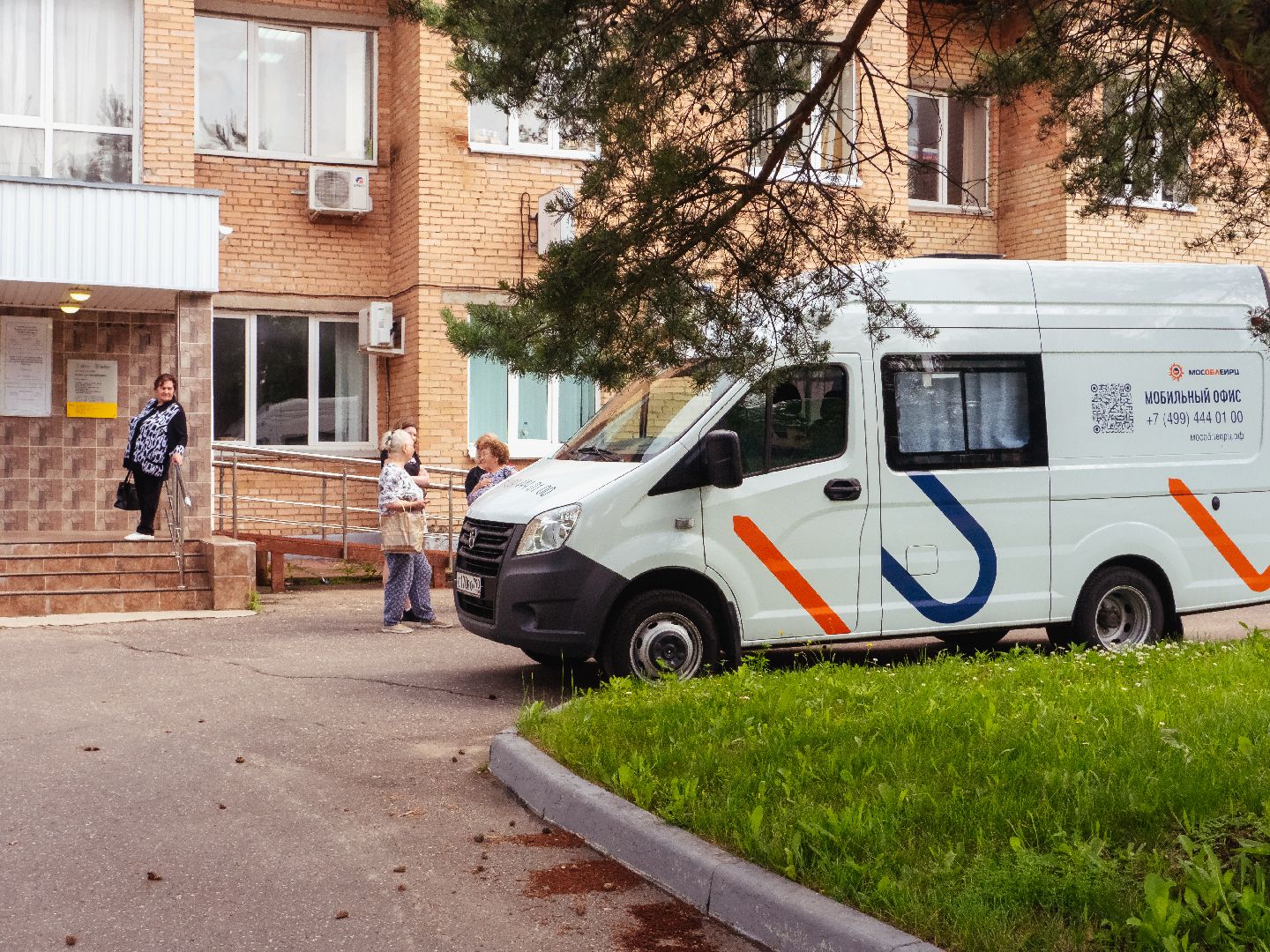 общество
