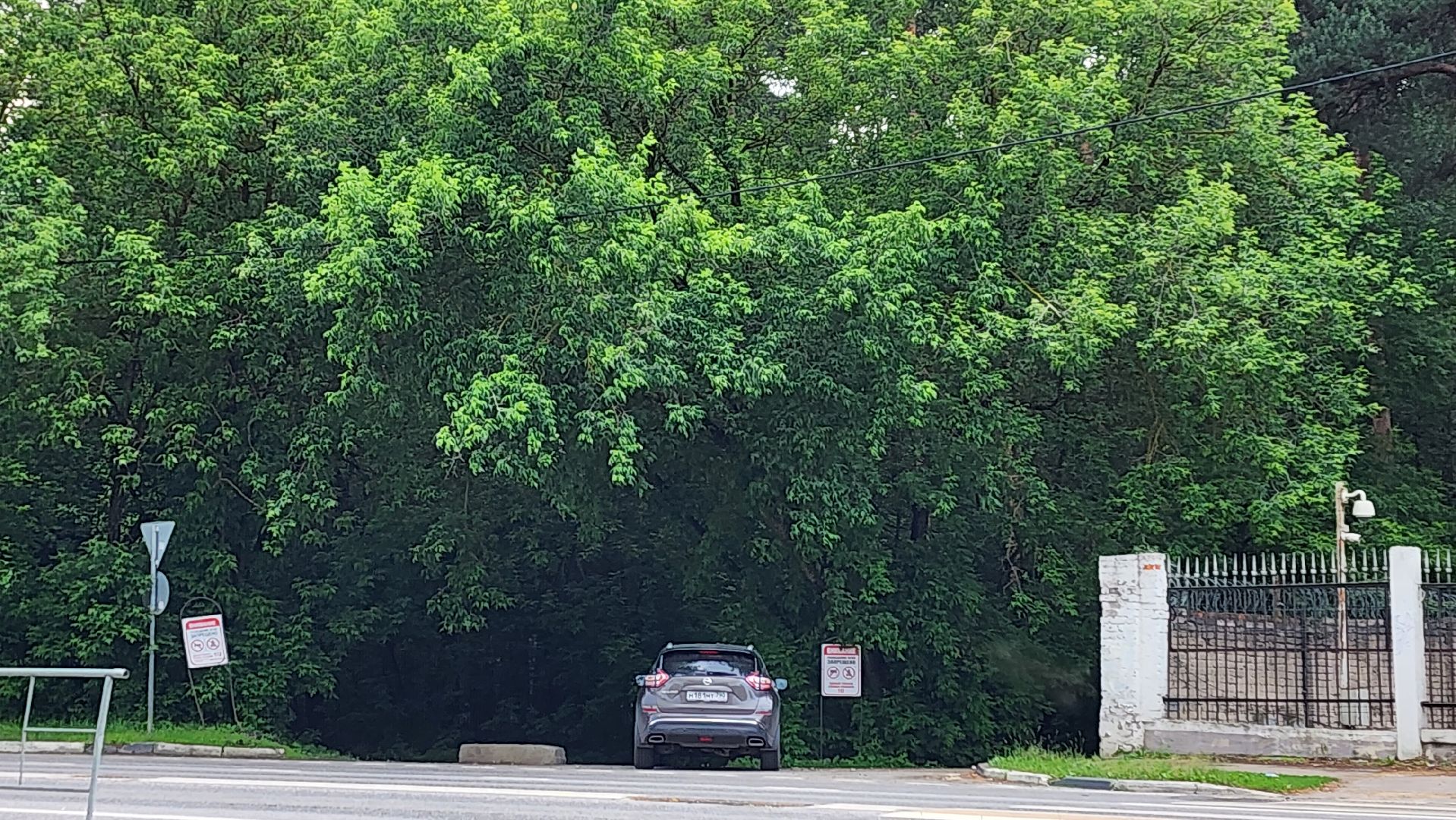 разведение