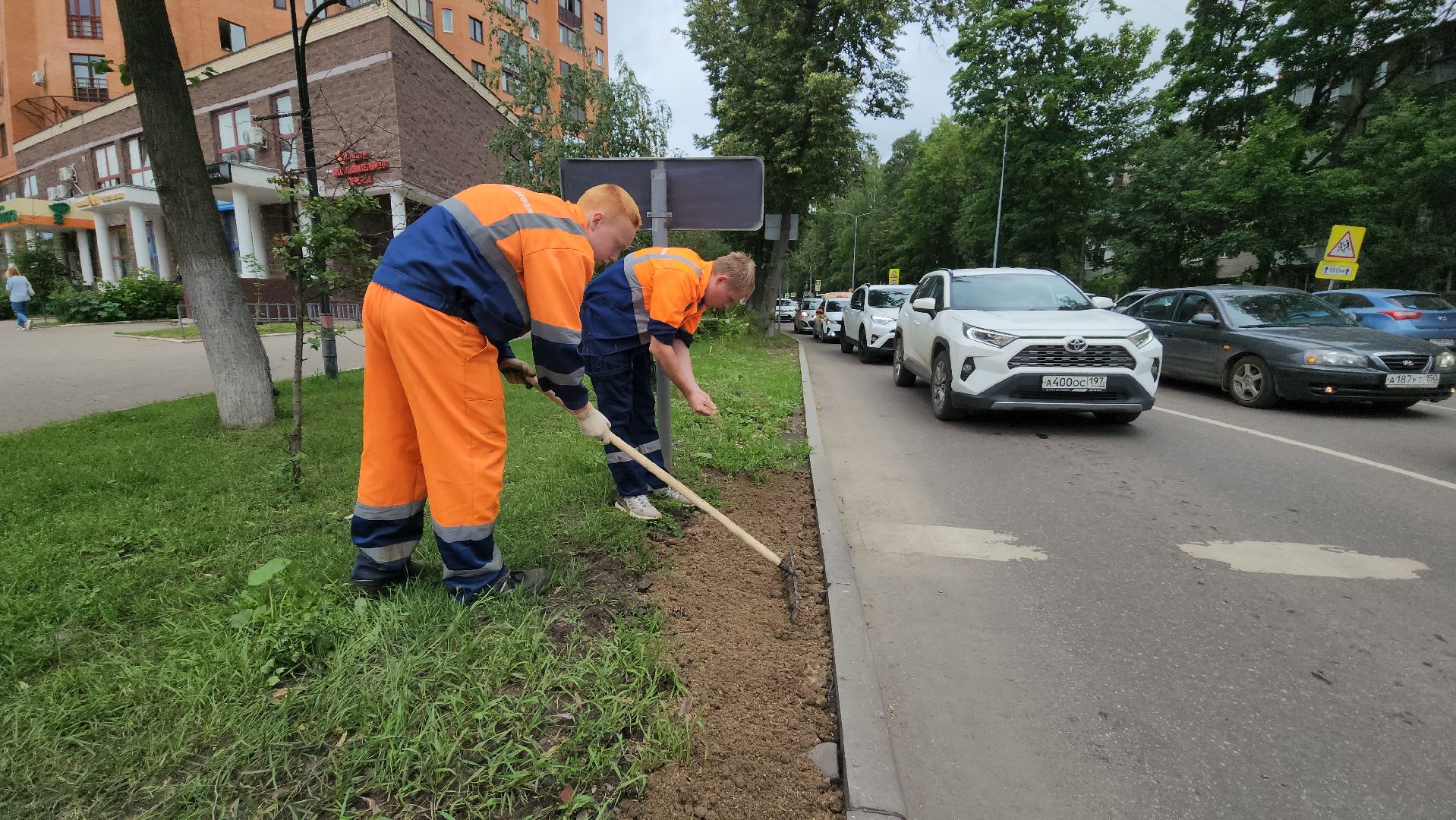газон