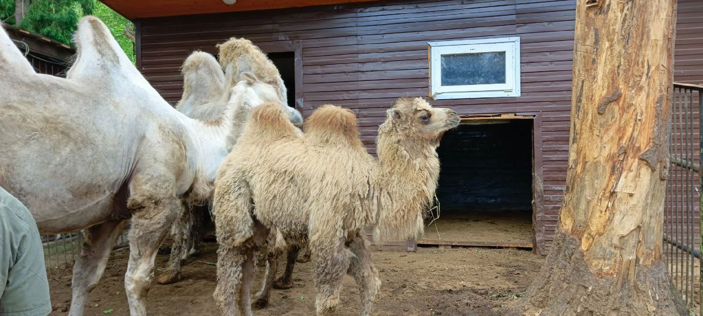 центр реабилитации