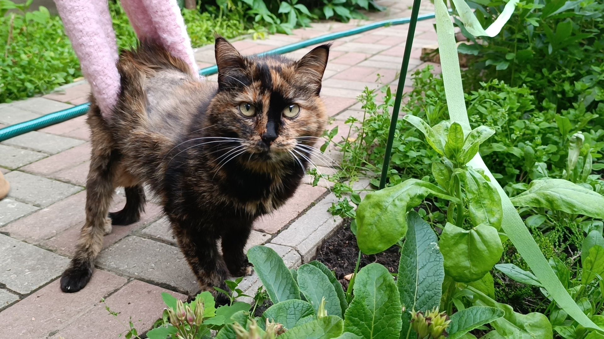 благотворители