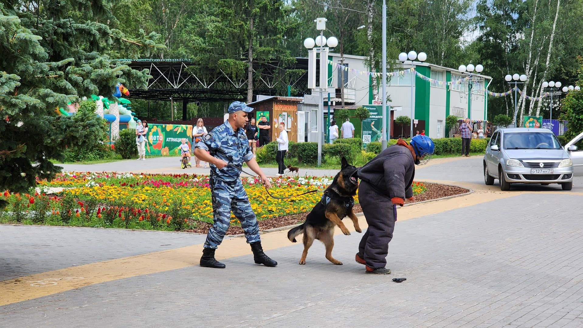 служба