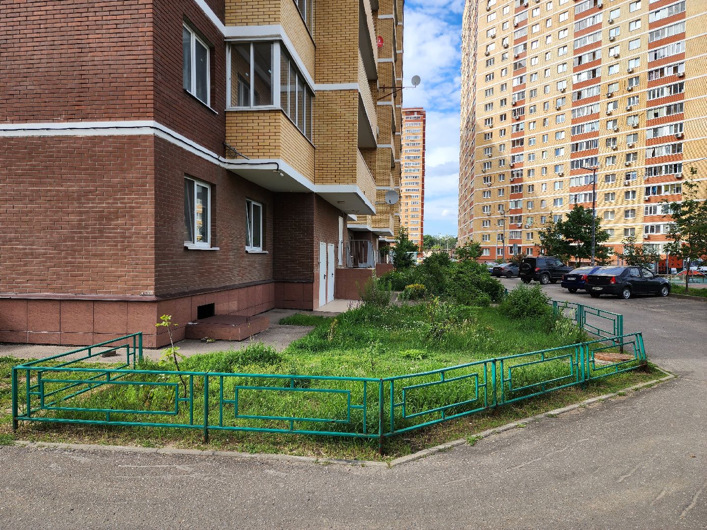 общество