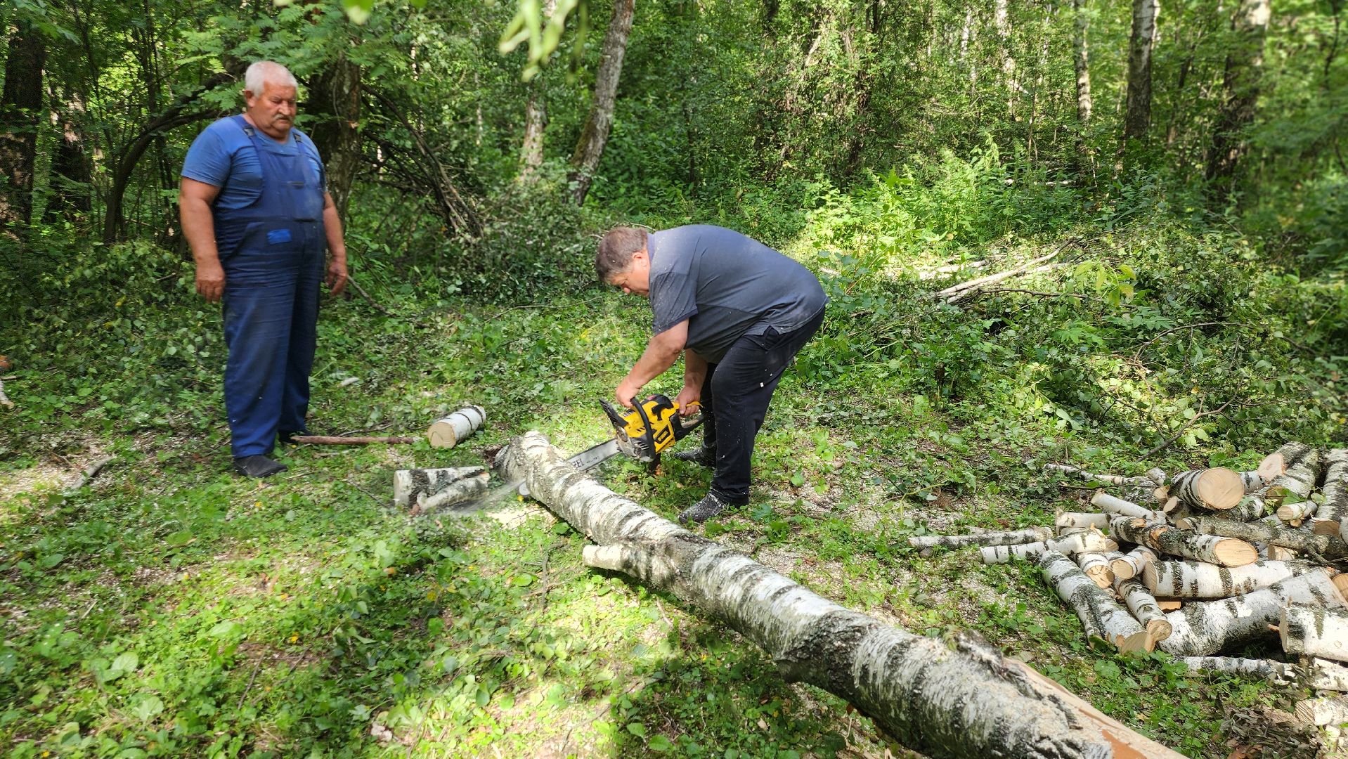 домодедово