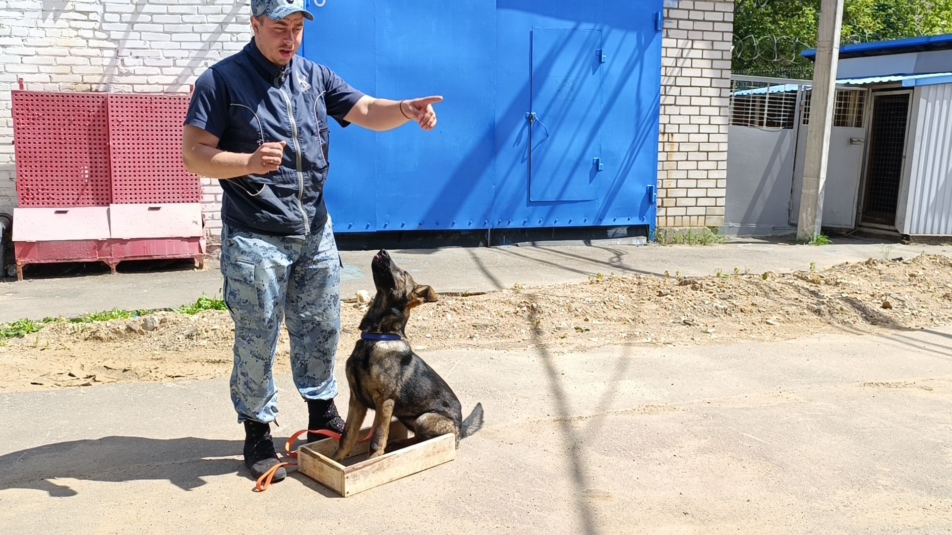 пол