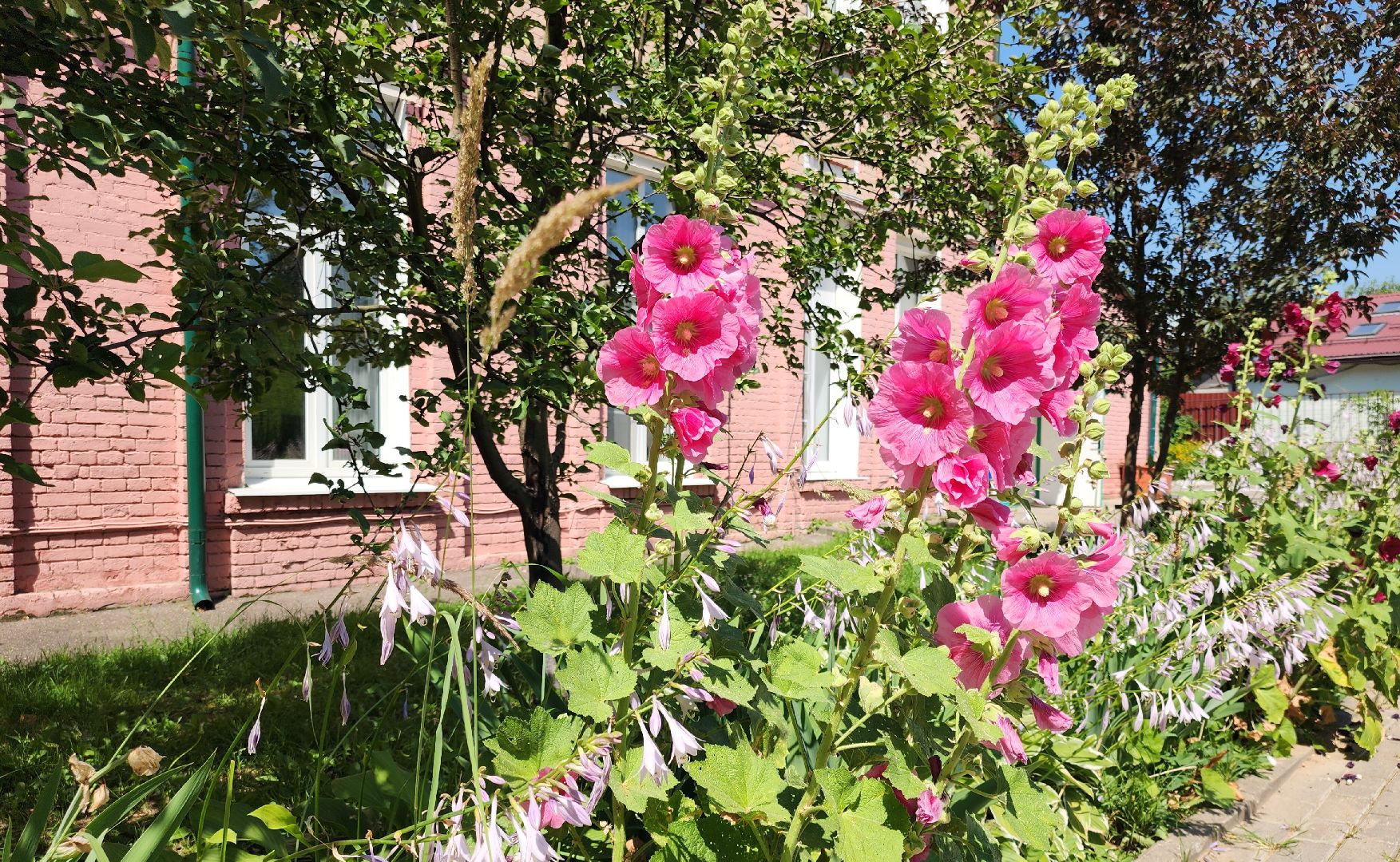 Звенигород