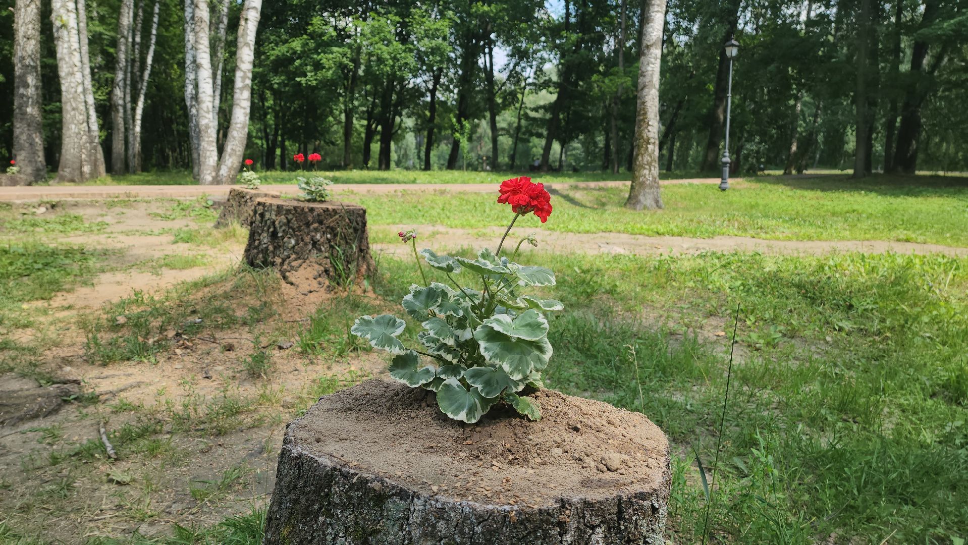 парки