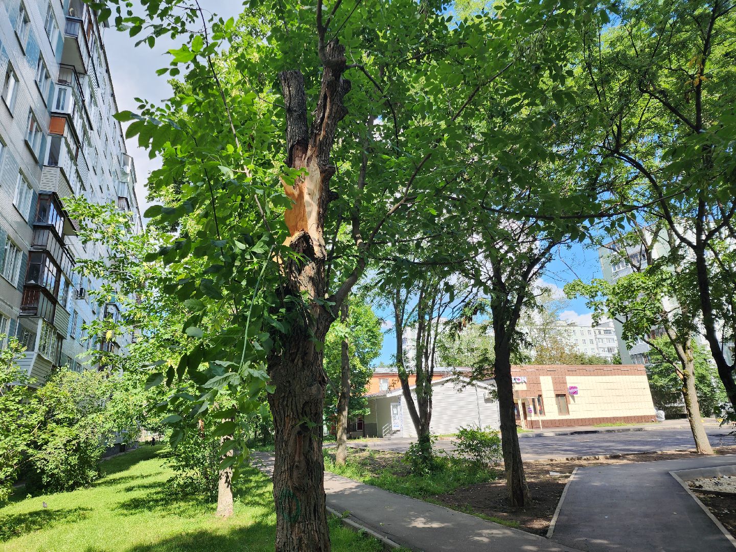 коммунальщики