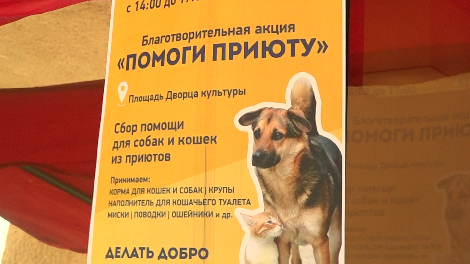 Благотворительность