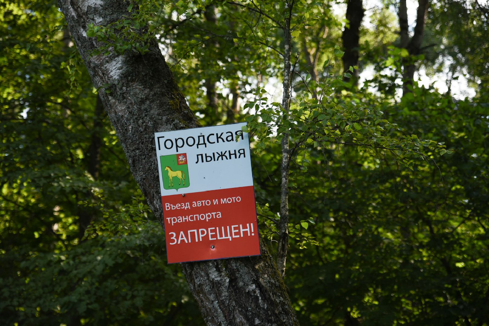 подготовка