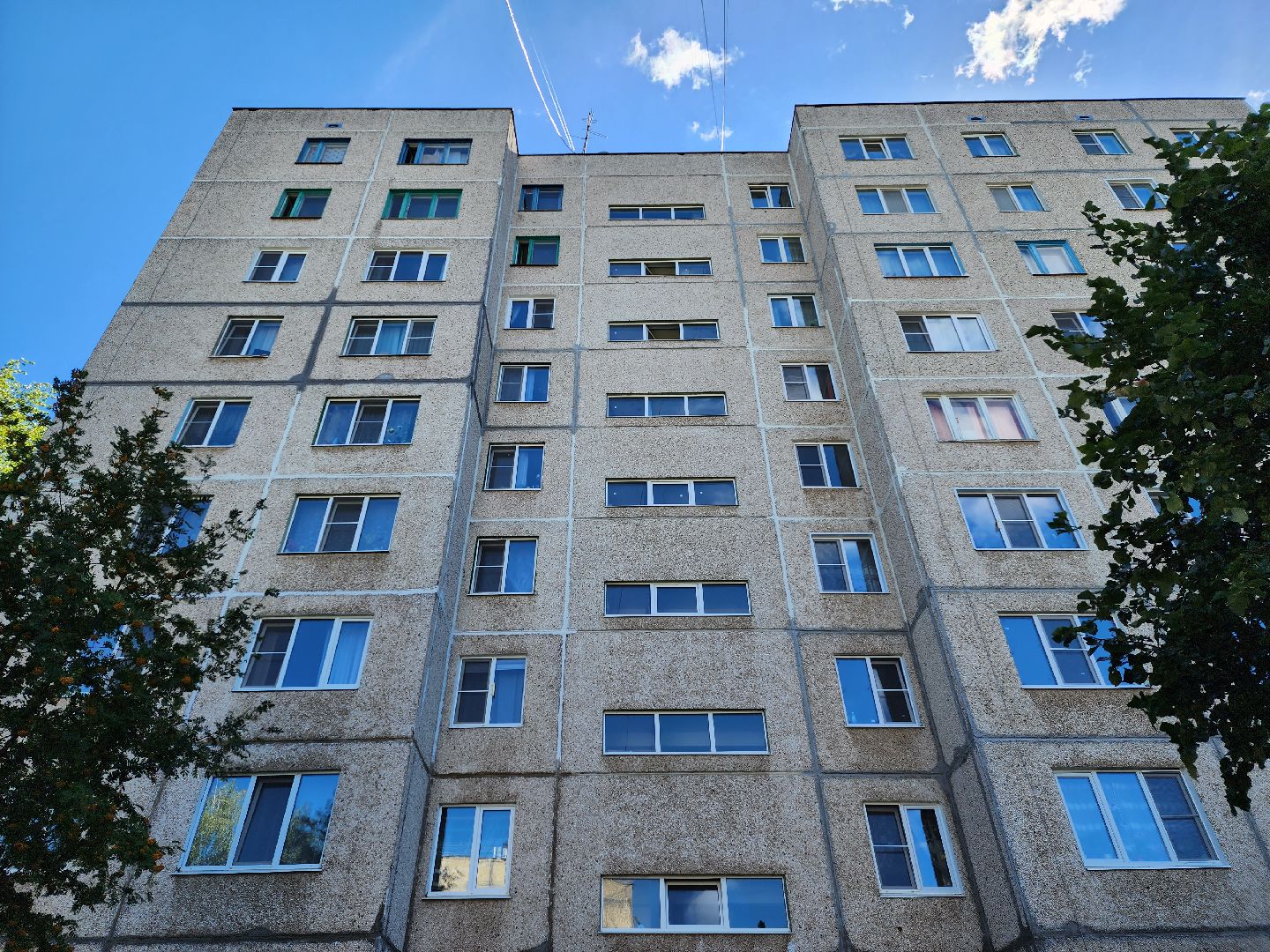 короле