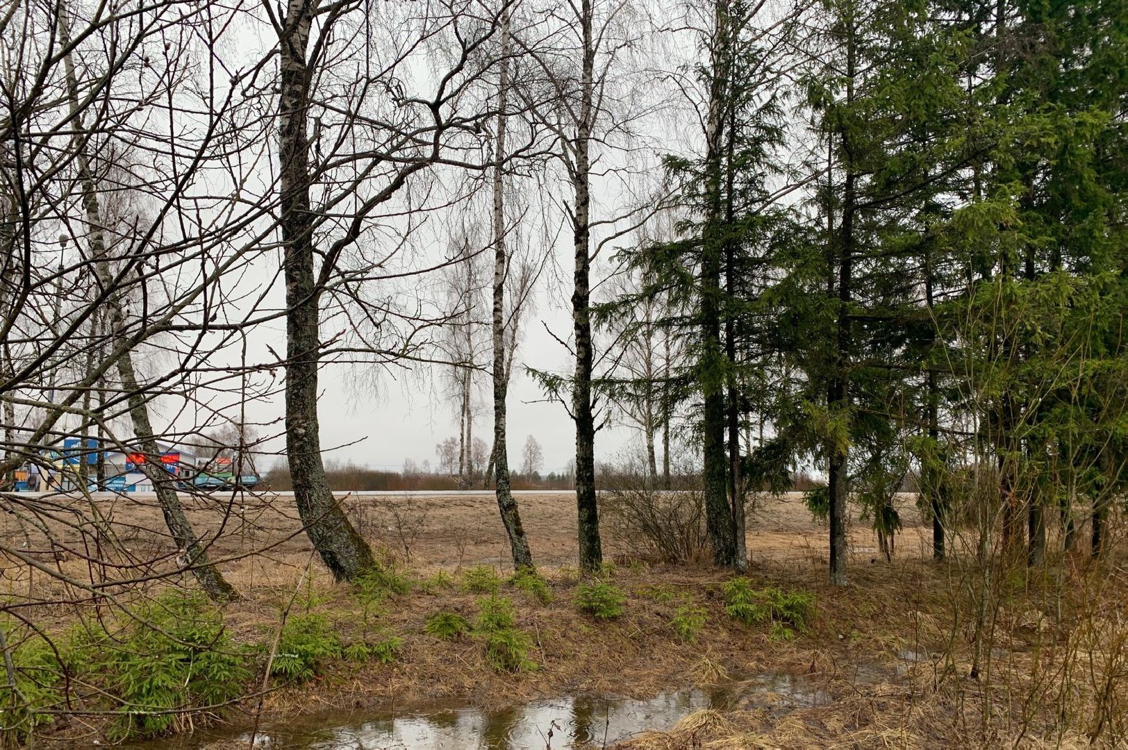 земля