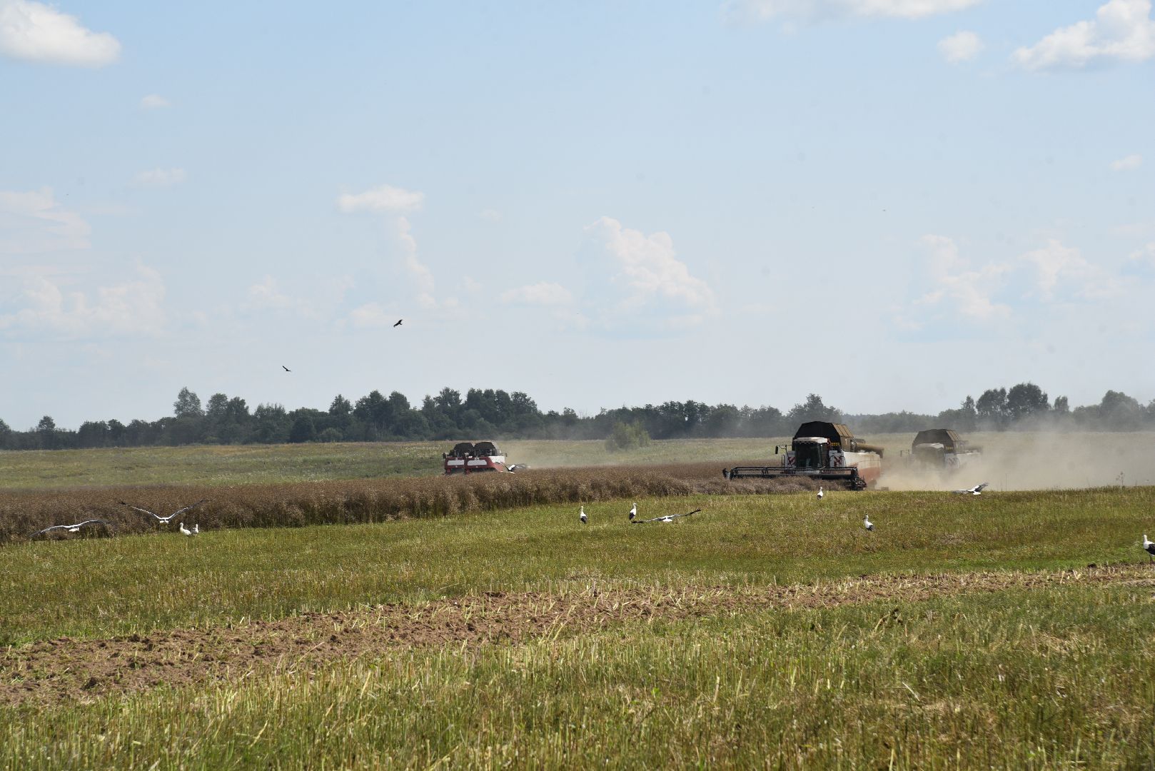 сельское хозяйство