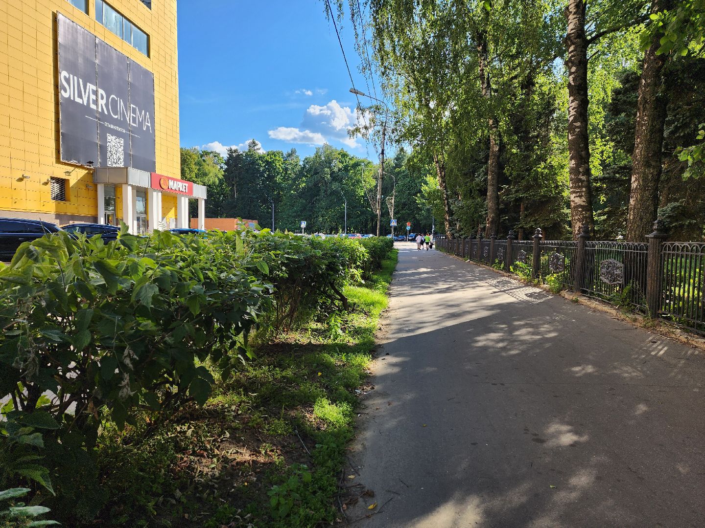 тени