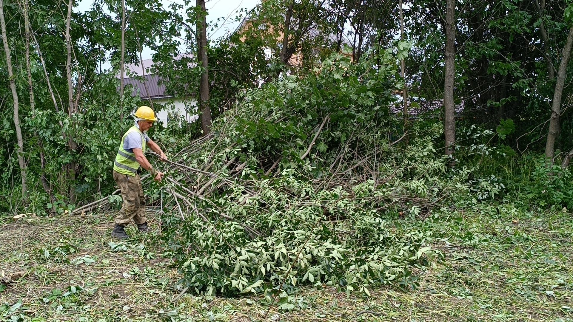 пешеходный переход