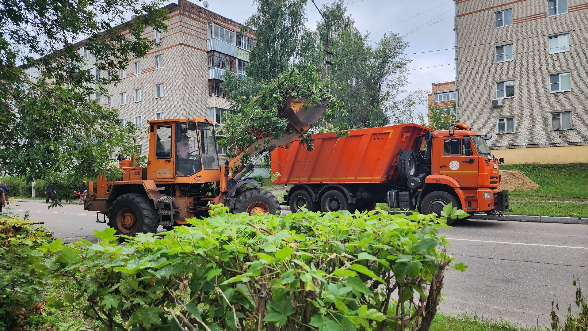 большая шатура