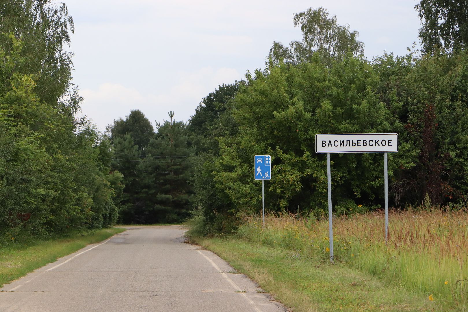 васильевское