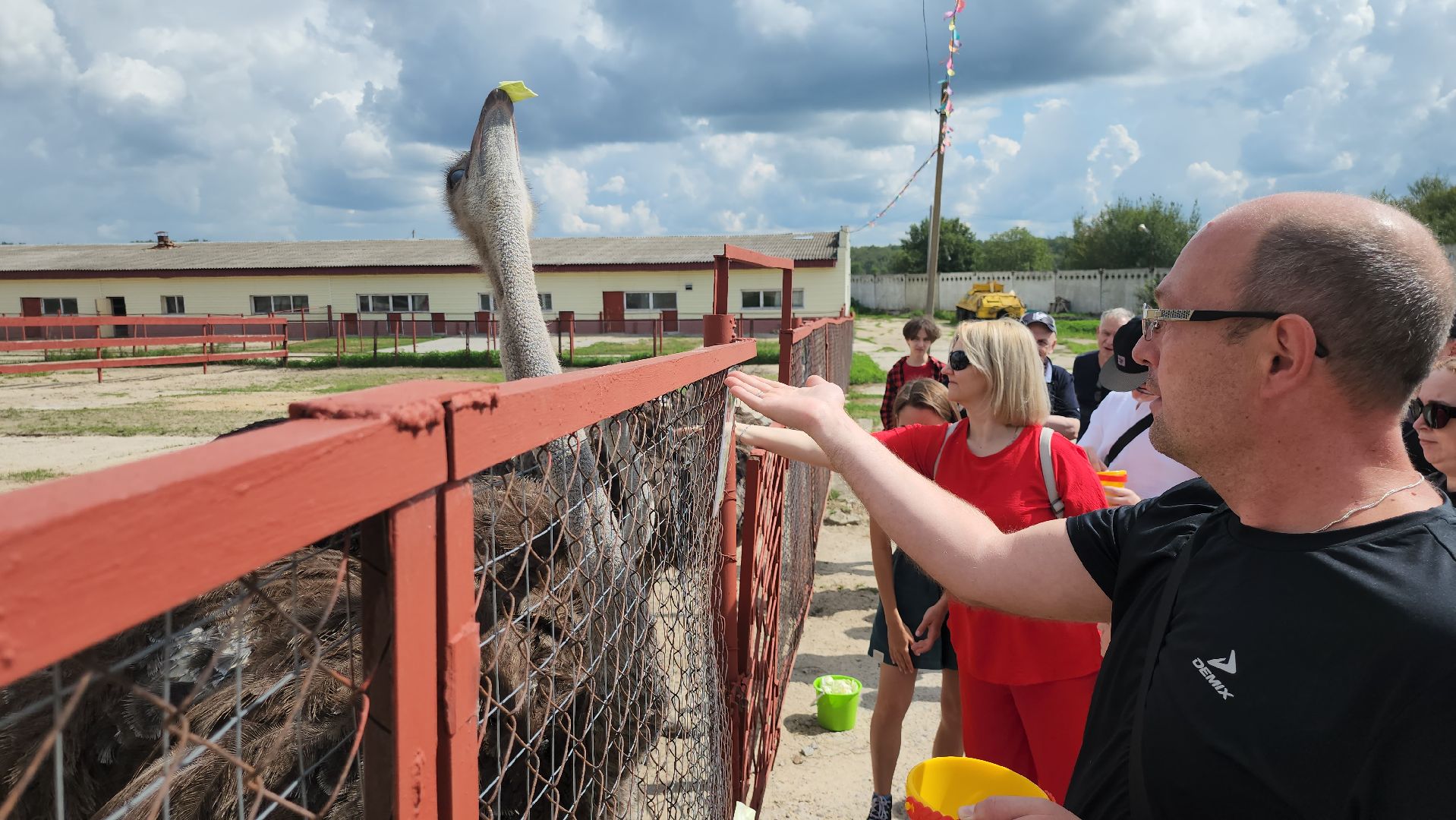 русский страус