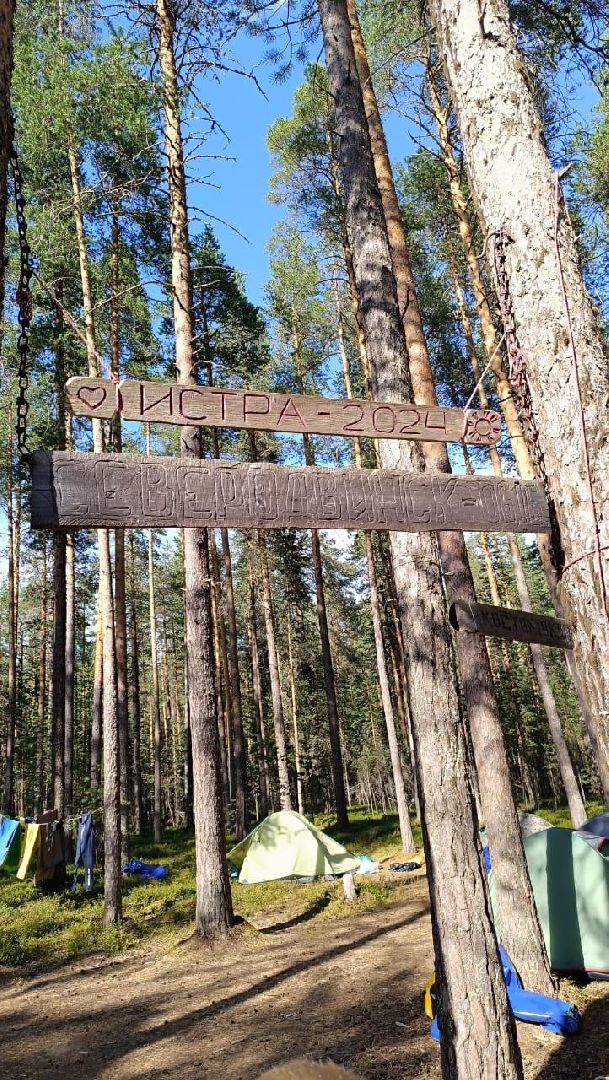 сплав
