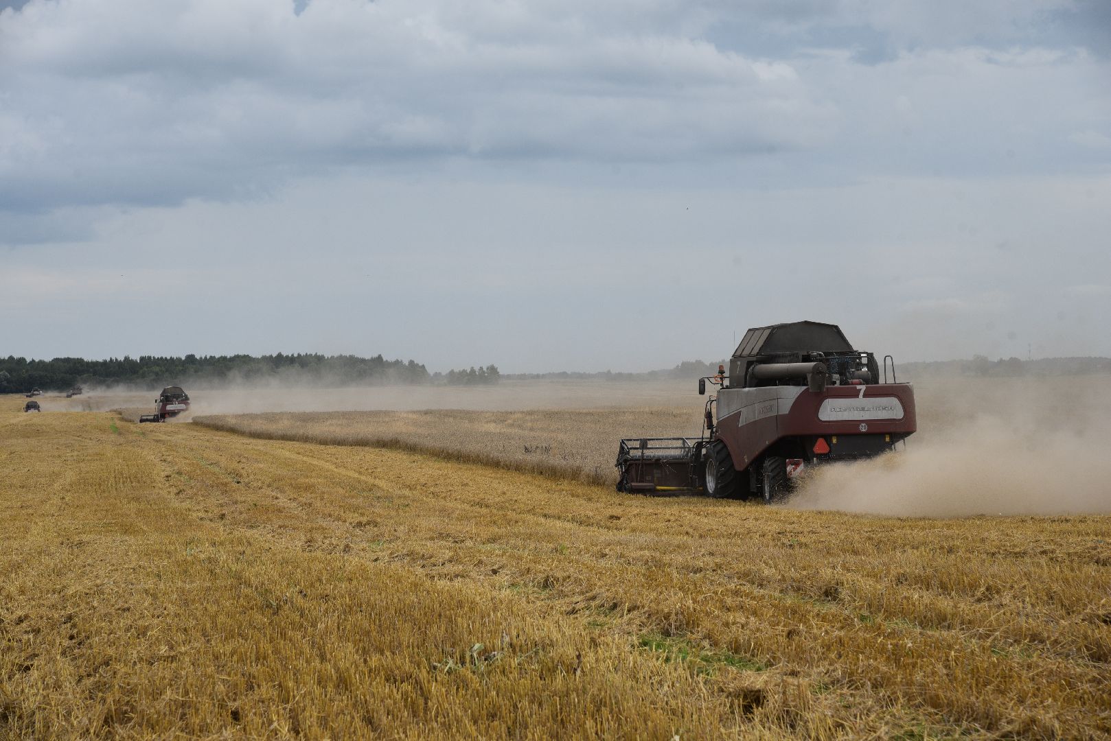 сельское хозяйство