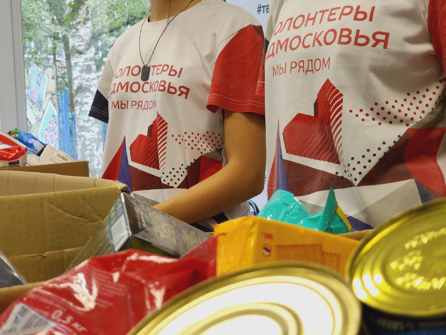 волонтеры подмосковья