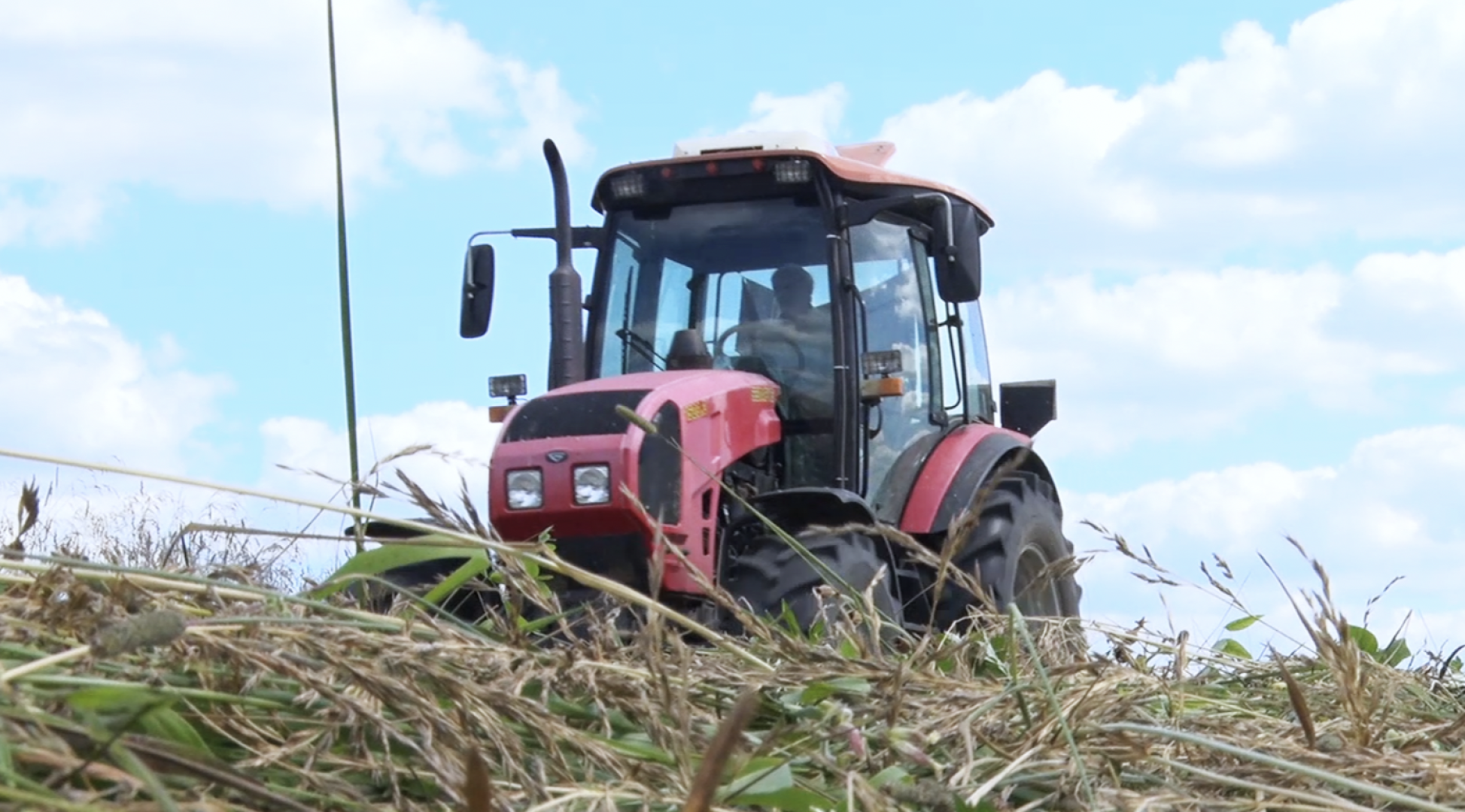 сельское хозяйство