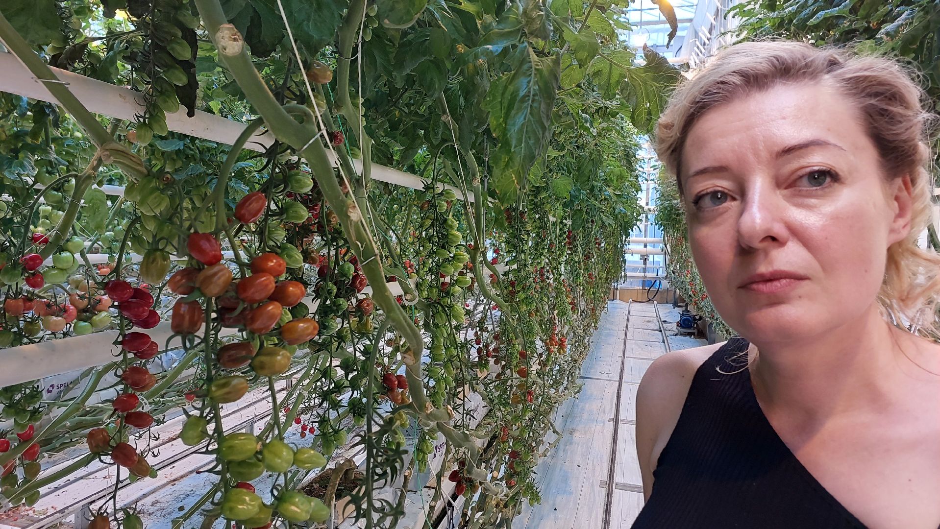 Сельское хозяйство