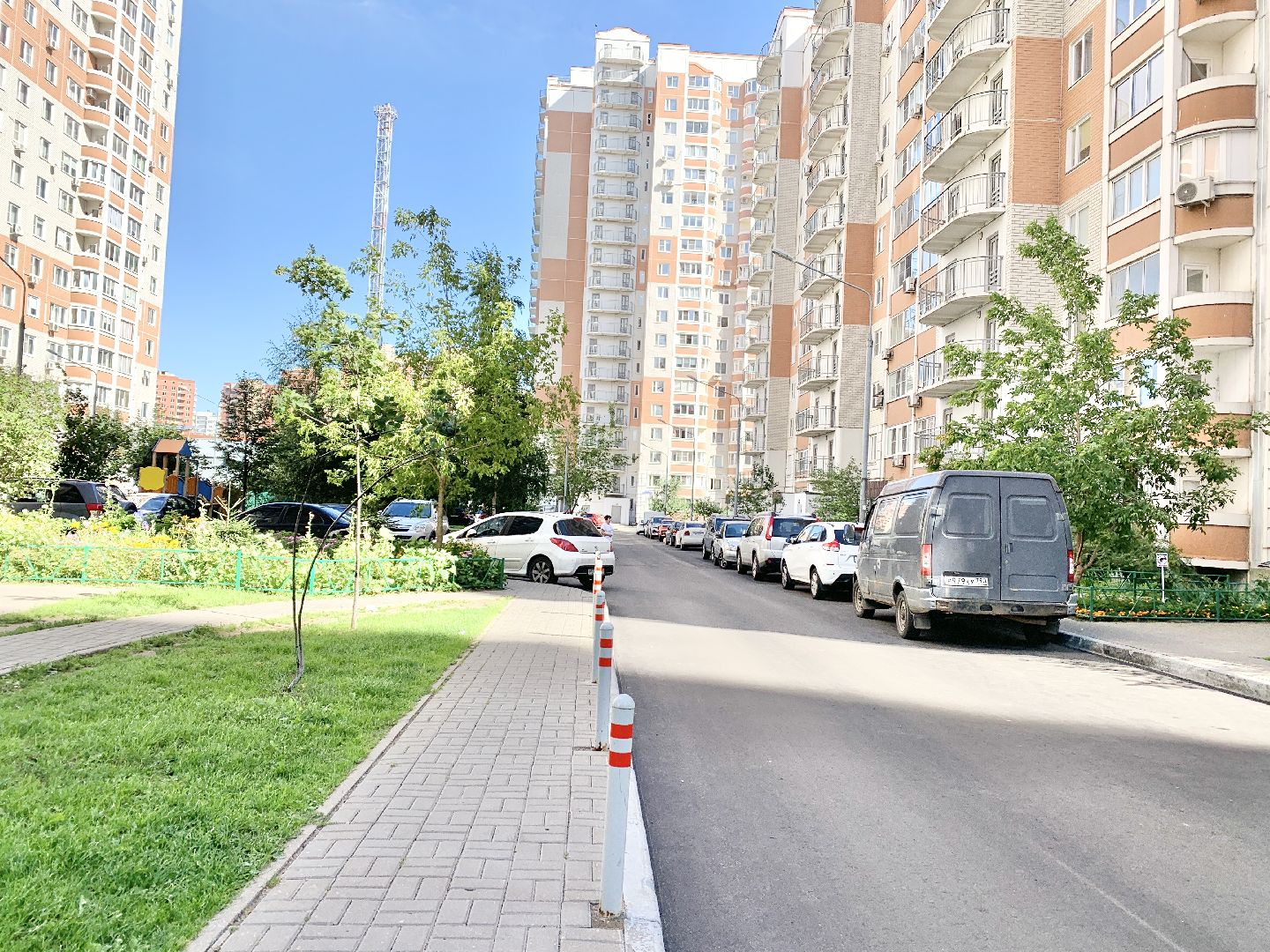 высадка кустарников