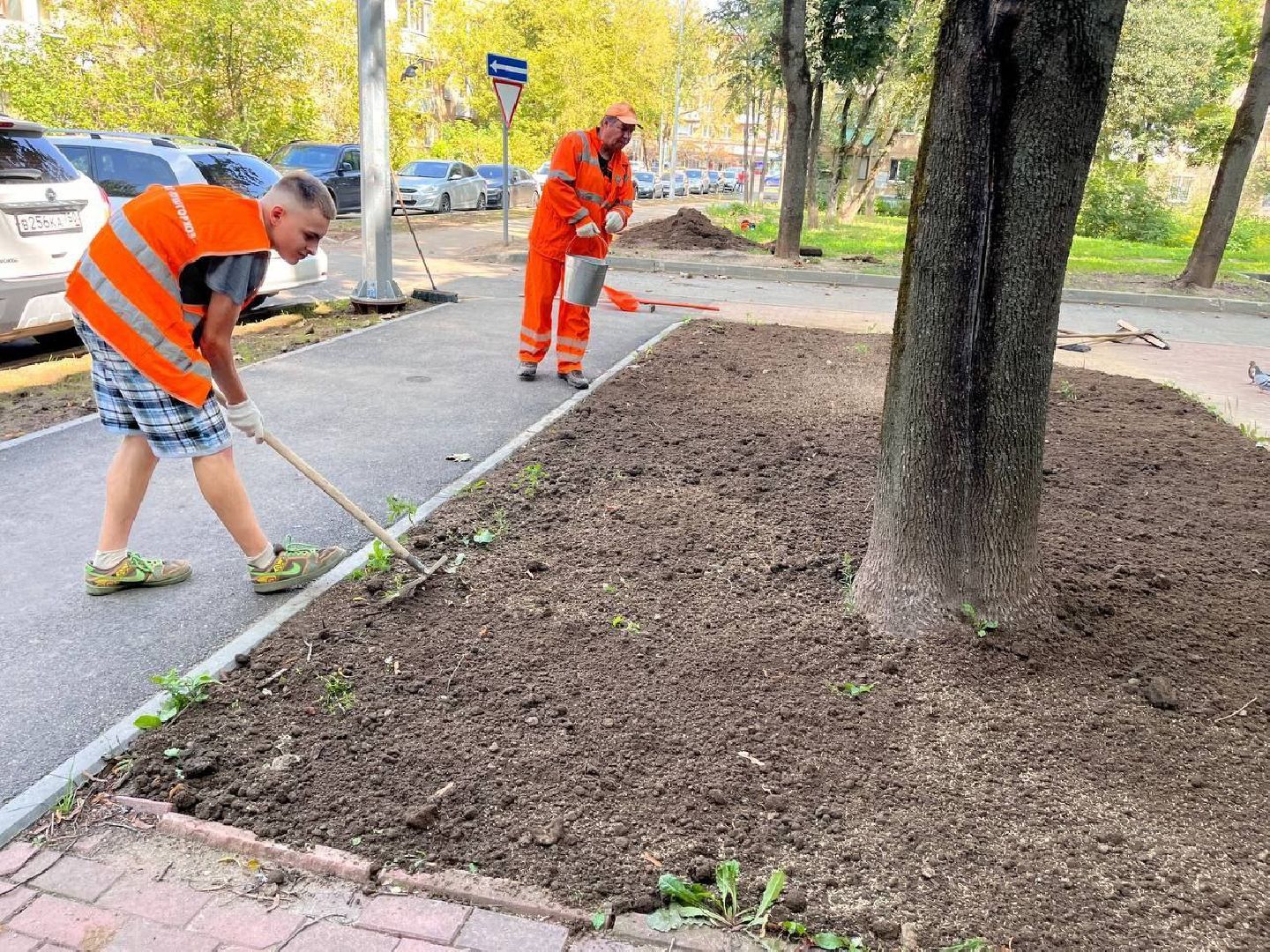 газон