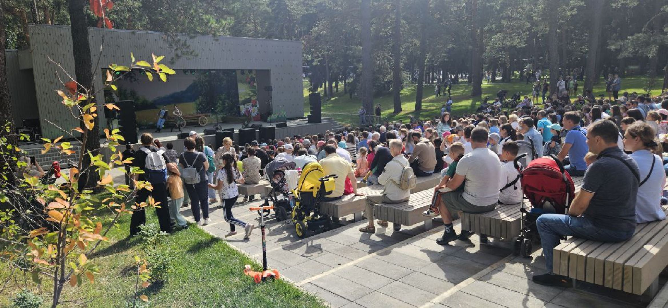 день города