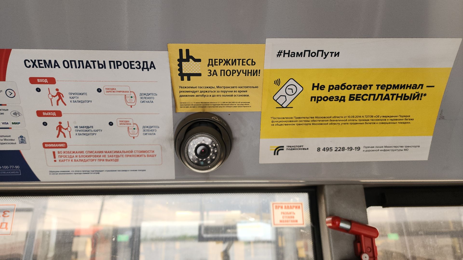 жители города