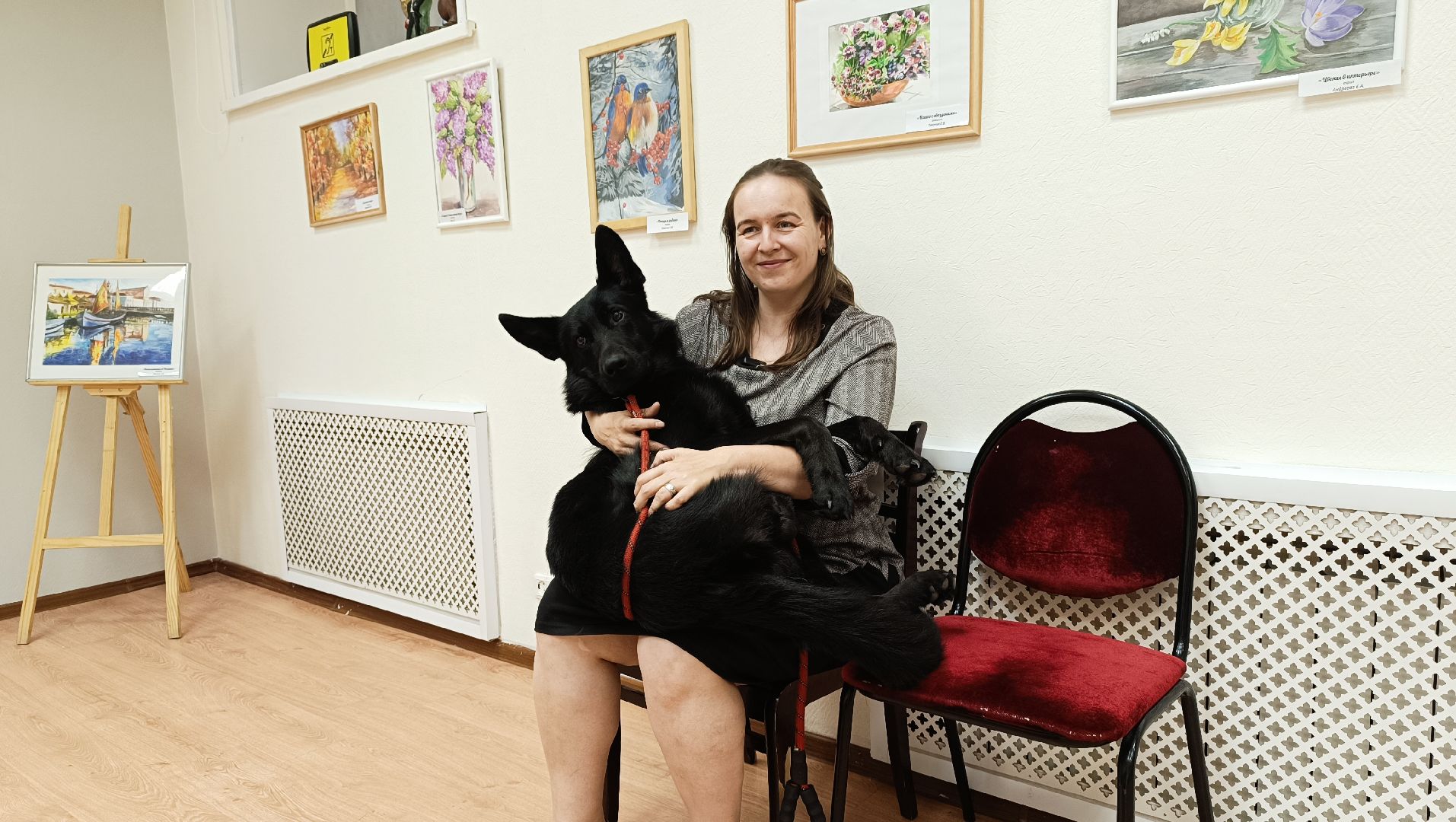 библиотека