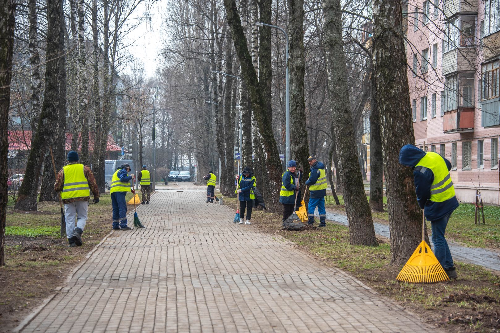 Озеленение