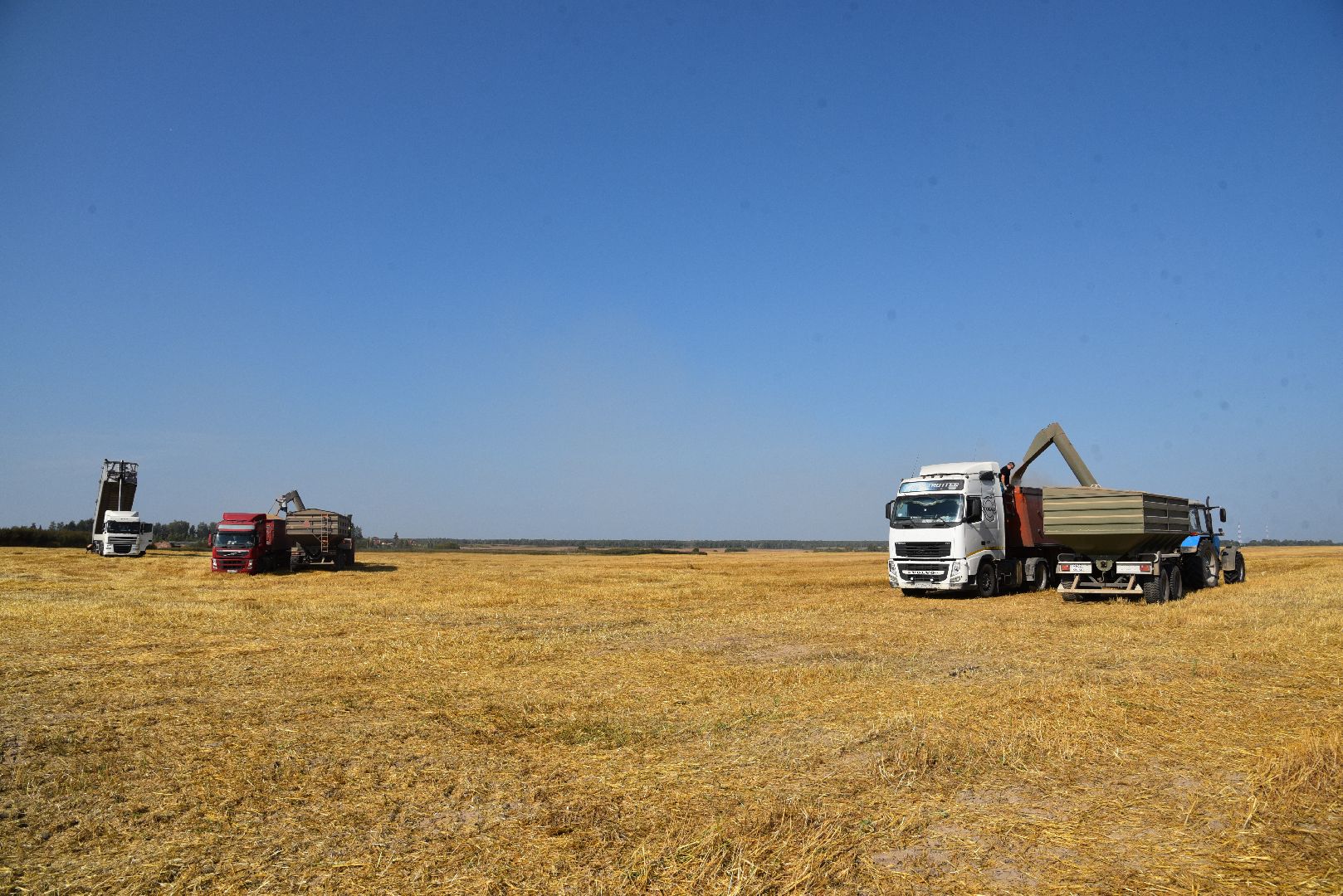 сельское хозяйство