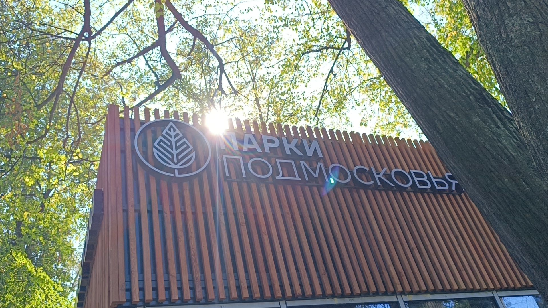 мастер-класс