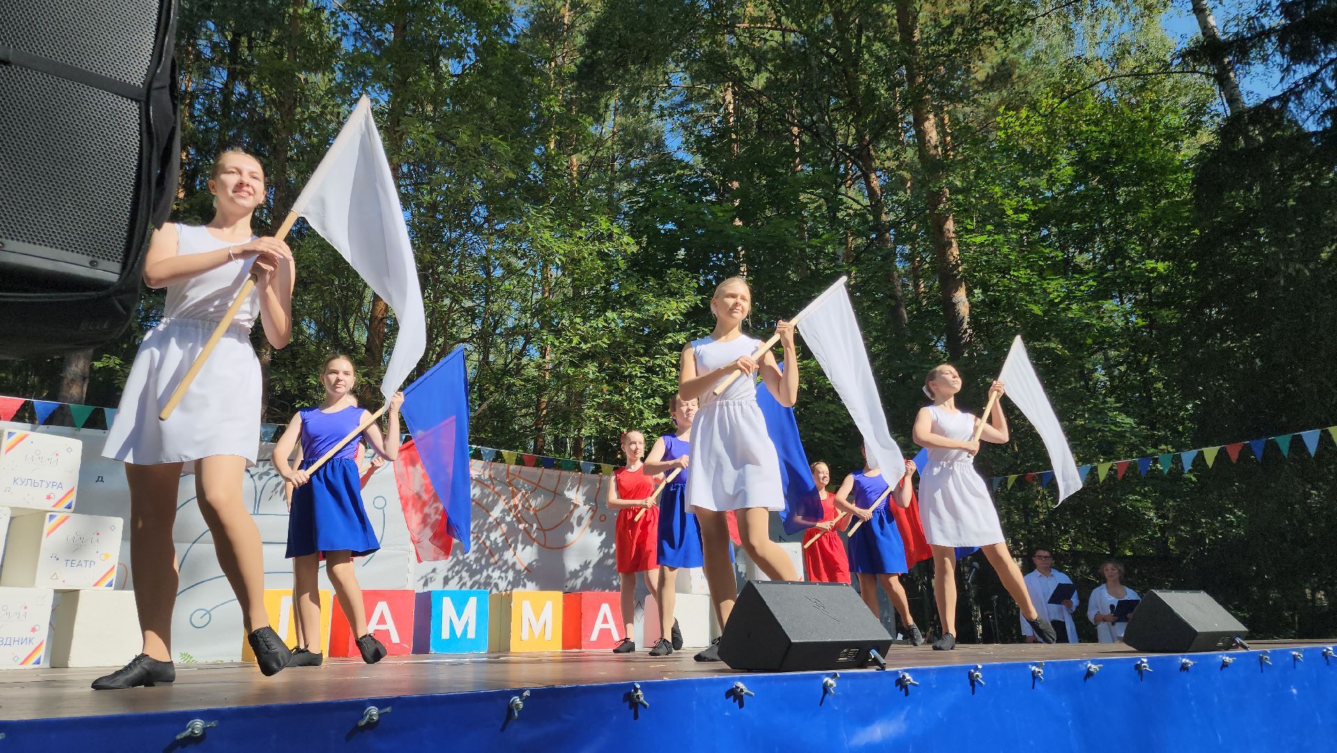 Черноголовка