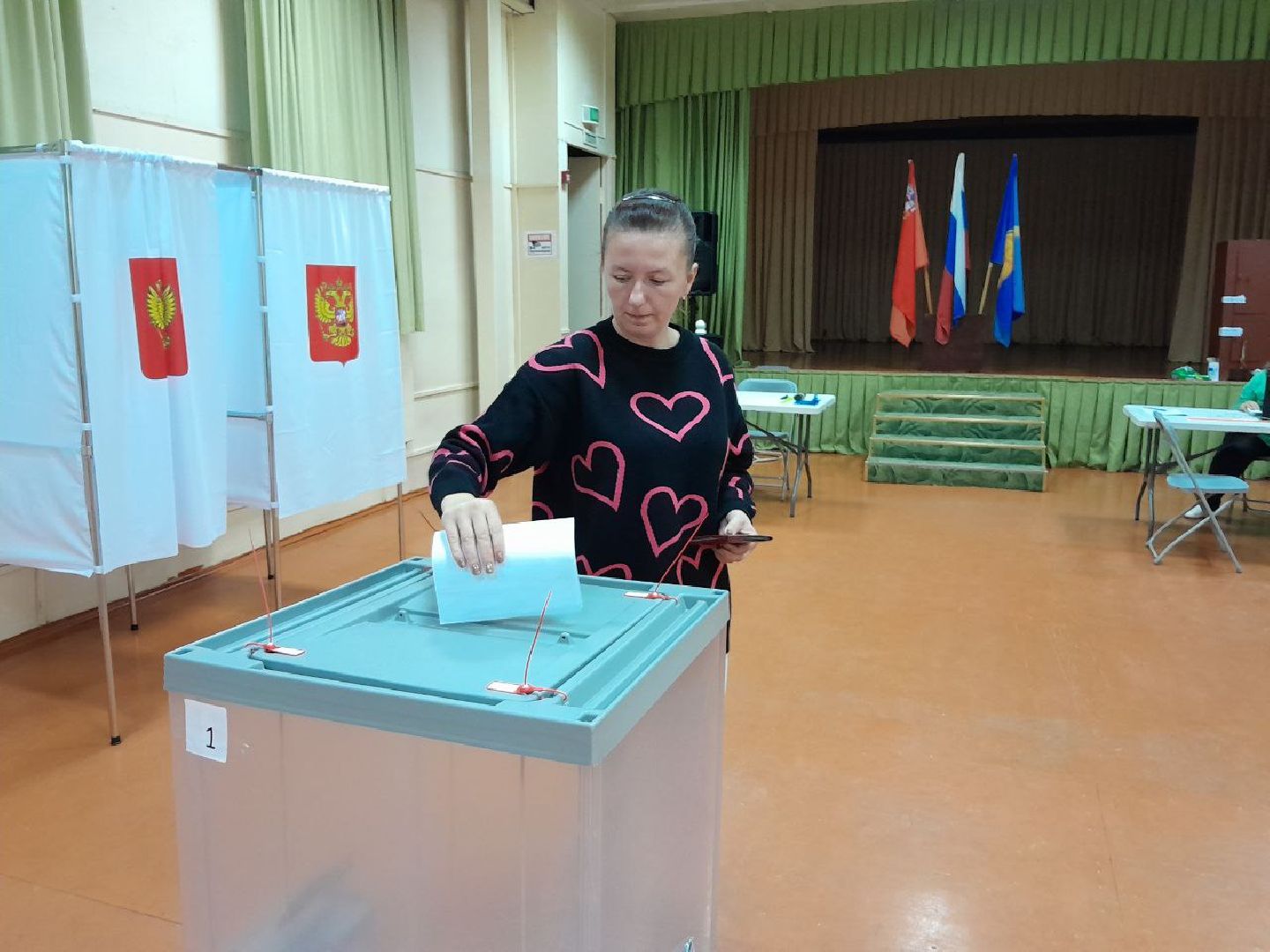 Выборы в Совет депутатов
